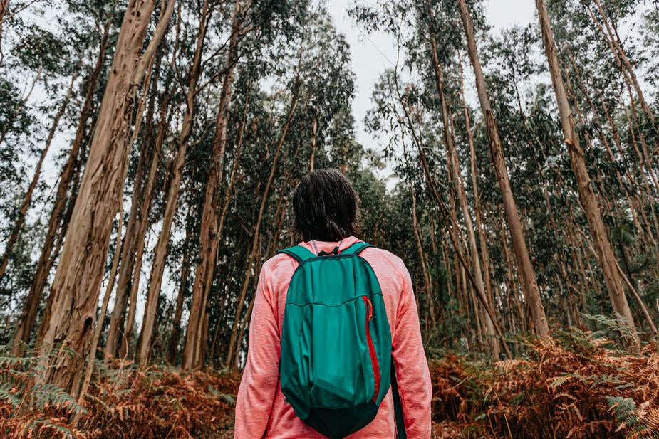 How to choose the right backpack?